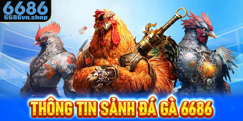 Thông tin sảnh đá gà 6686