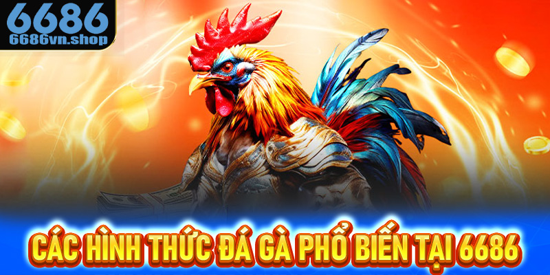 Phân loại các hình thức đá gà phổ biến tại 6686