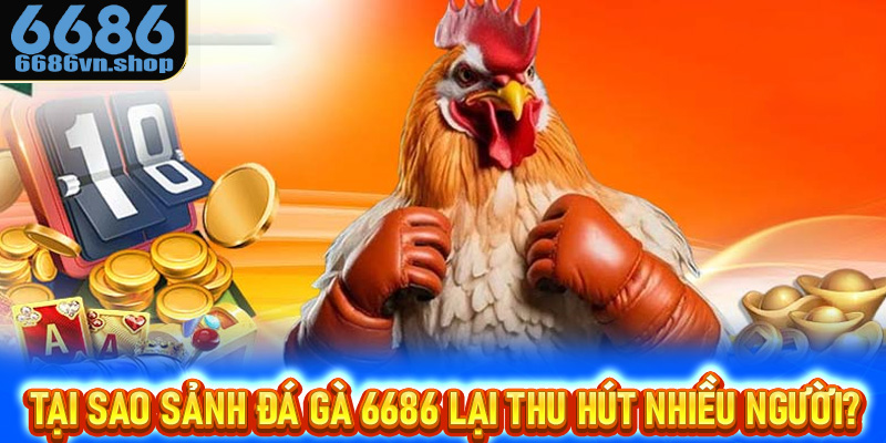 Tại sao sảnh đá gà 6686 luôn thu hút nhiều người tham gia?